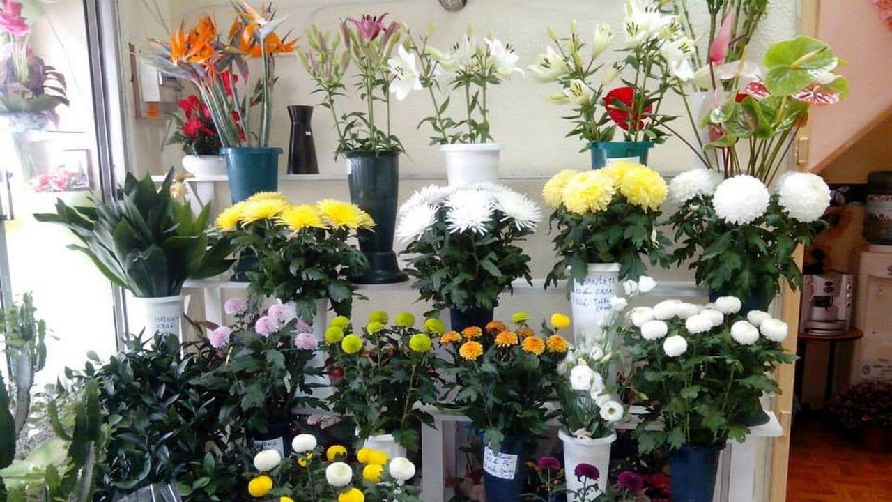 Florista Kikas - Torre da Marinha